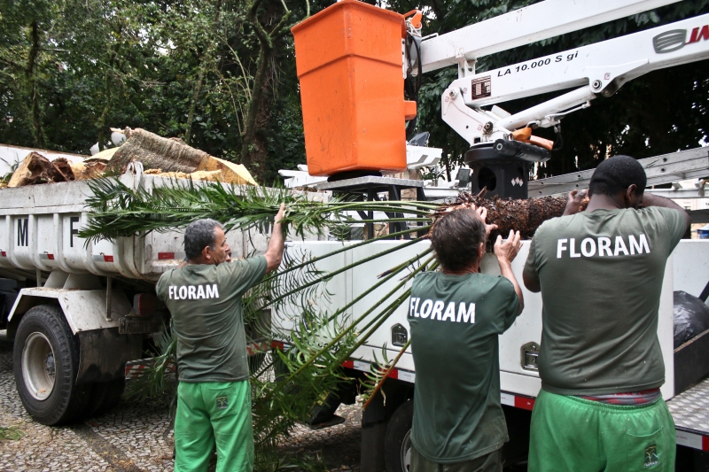 Floram retira árvore que caiu na Praça XV