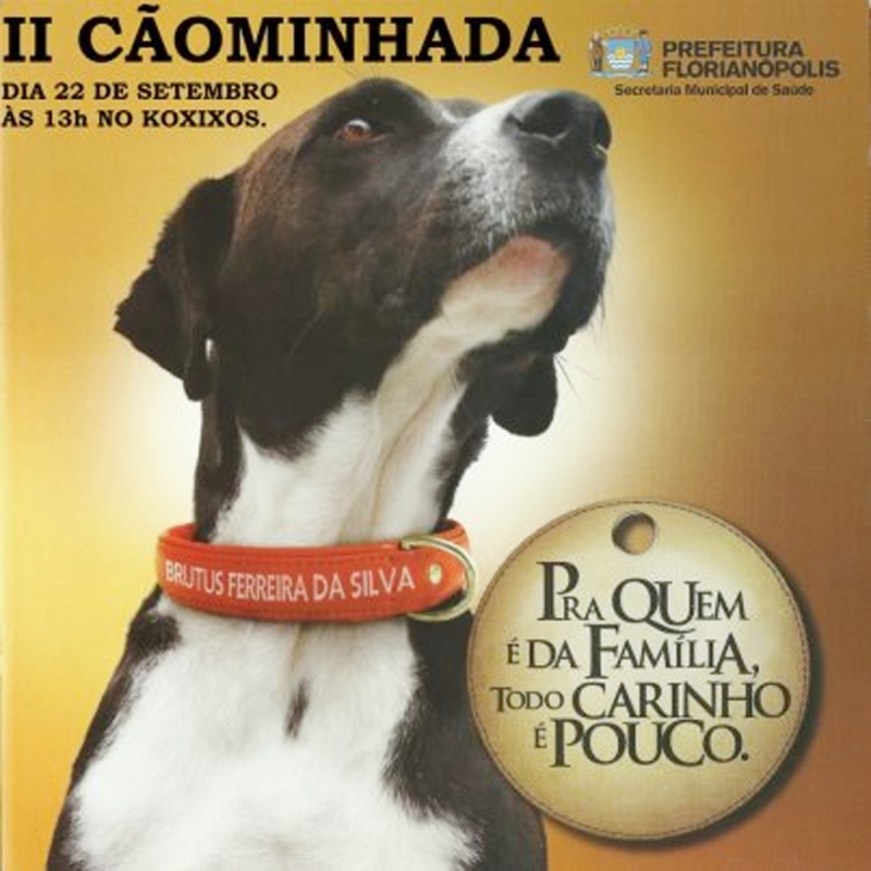 Este sábado tem Cãominhada na Beira-mar norte