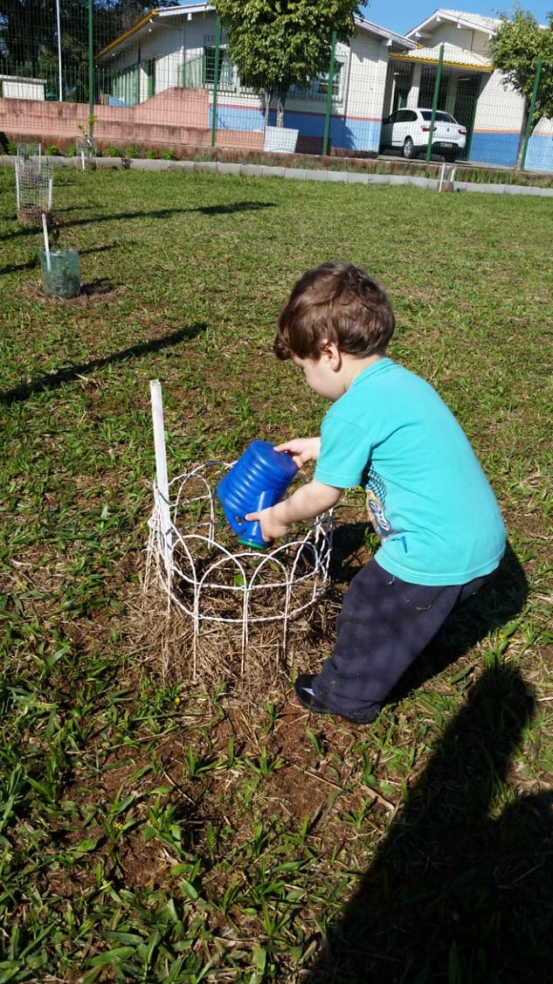 Crianças ajudam na plantação de árvores e no cultivo de horta