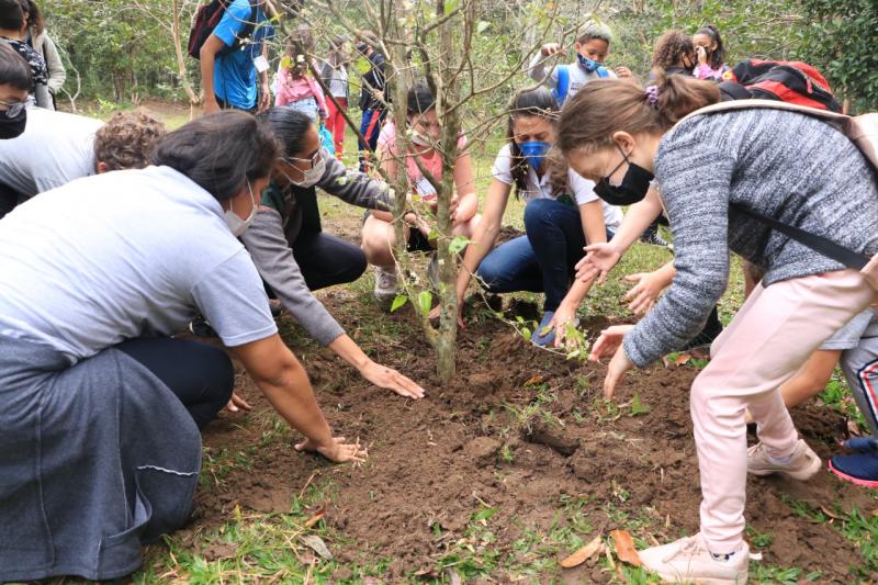 Dia da árvore: Floram planta mais de 3 mil árvores nativas por ano