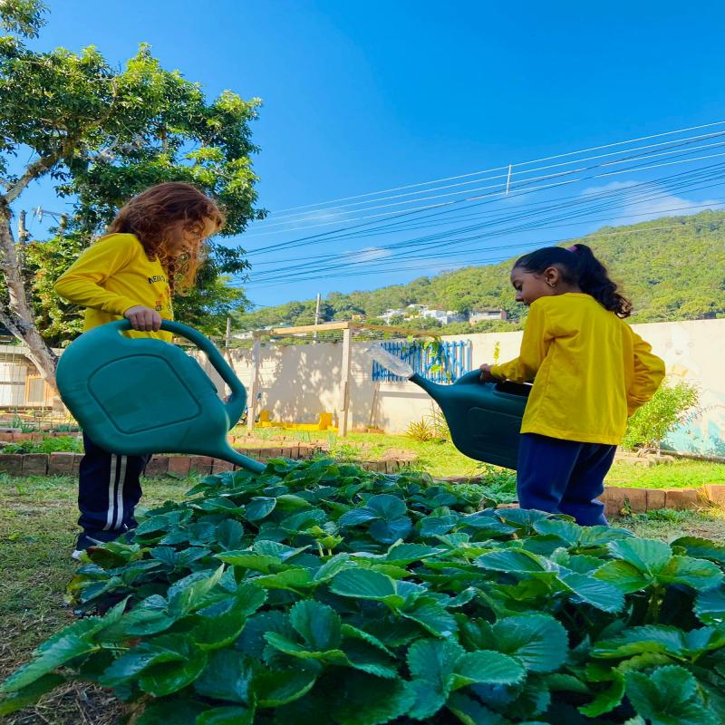 Neim Doralice Dias coleta água da chuva, desenvolve horta e faz descarte correto de óleo de cozinha