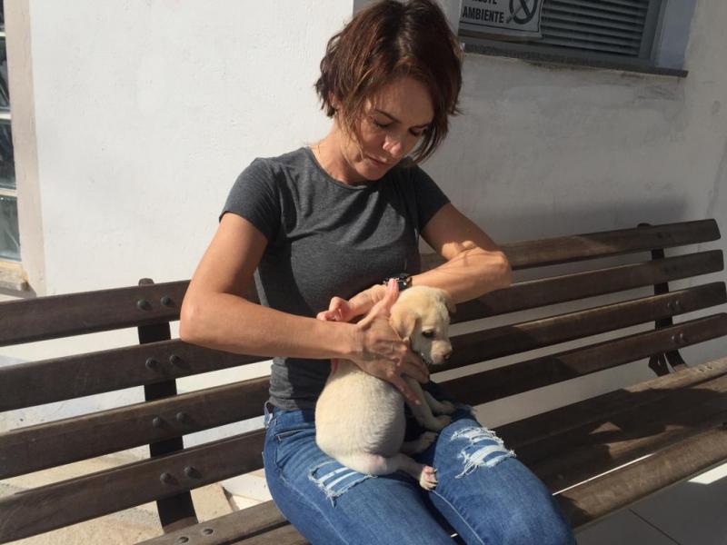 Funcionários e animais abrigados da DIBEA recebem sessões de terapia Bionergética