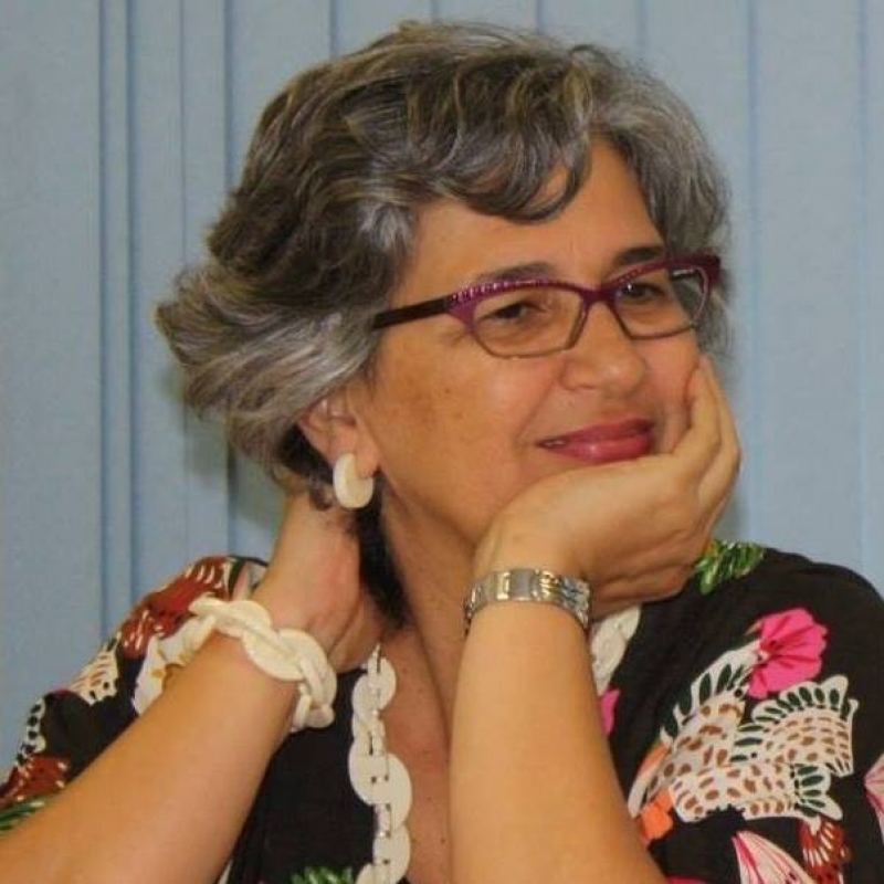 Autora lança livro sobre práticas na educação infantil