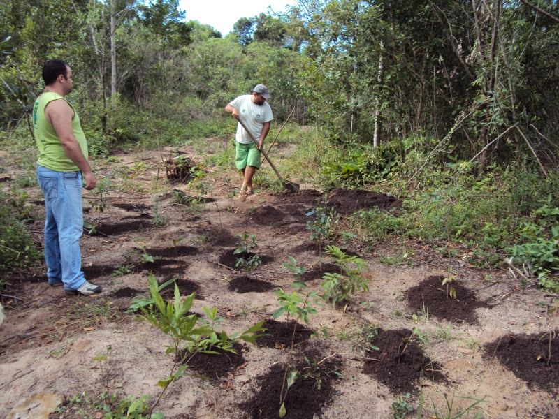 FLORAM desenvolve projetos de recuperação ambiental