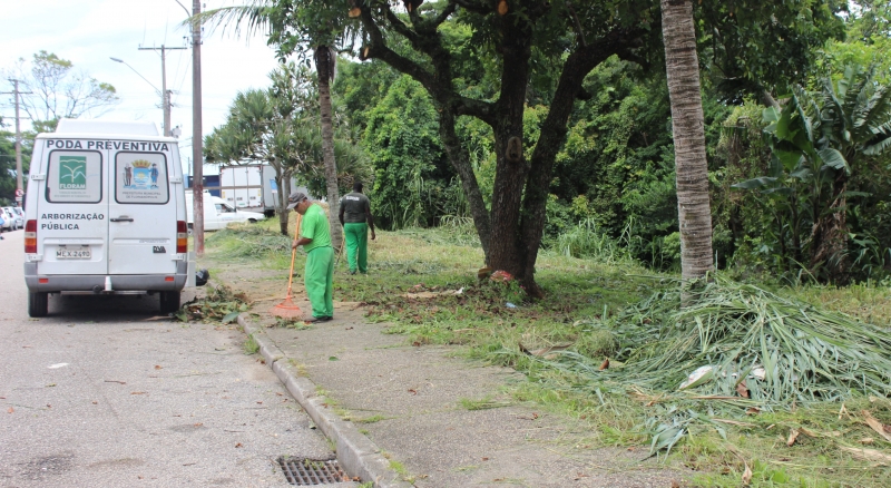 Floram limpa cabeceira insular da Hercílio Luz