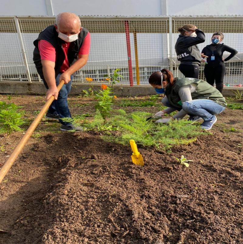 Programa Cultiva Floripa revitaliza horta do CS Santo Antônio