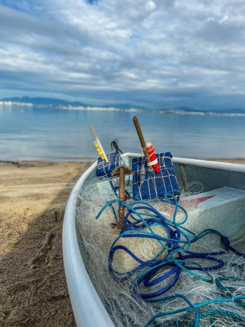 Safra de 2020 já passa de 290 mil tainhas pescadas em Florianópolis