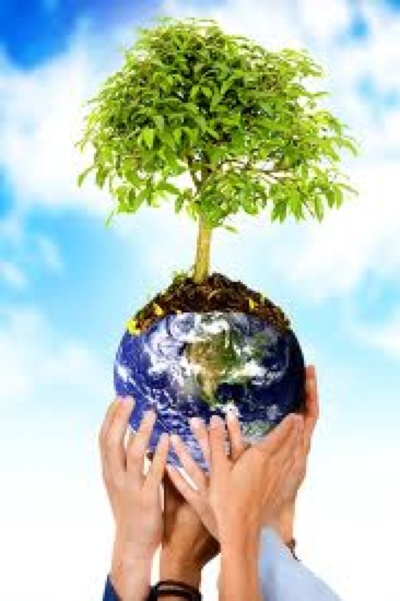 Conferência Infanto-juvenil de Meio Ambiente