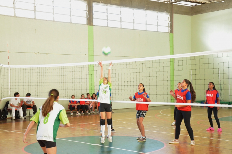 JESF VOLEIBOL 2015