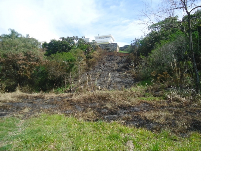 Queimada em área de 10 mil m² gera multa
