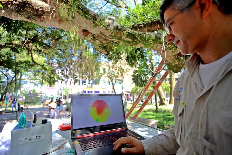 Figueira da Praça XV passa por tomografia para análise da qualidade 