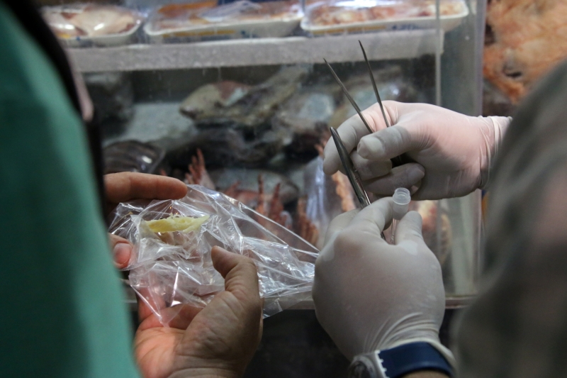 DNA do Pescado entra em revista científica