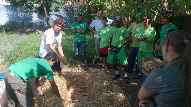 Revitalização do Projeto Família Casca