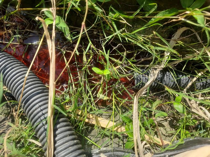PACTO: Prefeitura multa moradores em até R$2,5 mil por descarte de esgoto em rede pluvial no Sul da Ilha