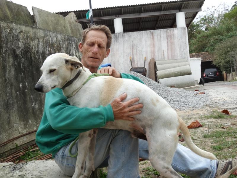 Prefeitura doa coleiras anti-leishmaniose para cães em áreas de risco
