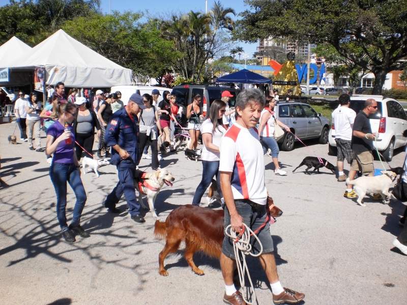 Cãominhada mobilizou centenas de pessoas