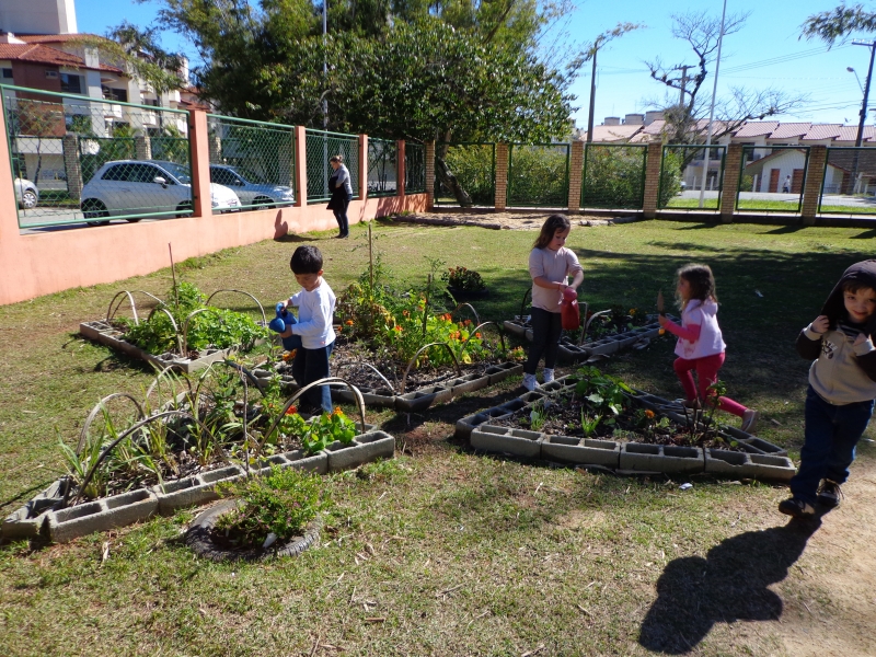 Horta em forma de estrela une escola e família em creche