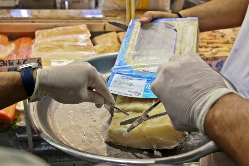 DNA do Pescado é tema de palestra em Minas Gerais