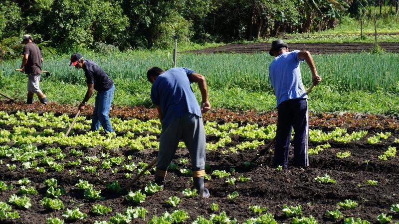 Seminário sobre compra, produção e abastecimento de alimentos da rede escolar ocorrerá em fevereiro