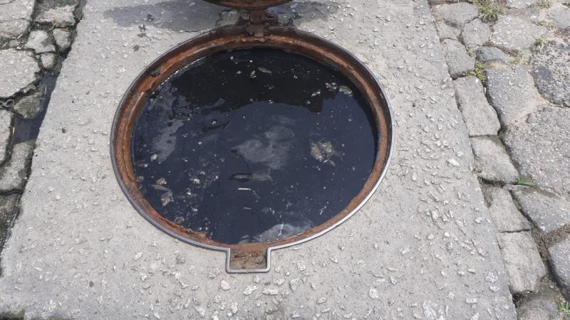 Florianópolis autua Casan por vazamento de esgoto no bairro Campeche