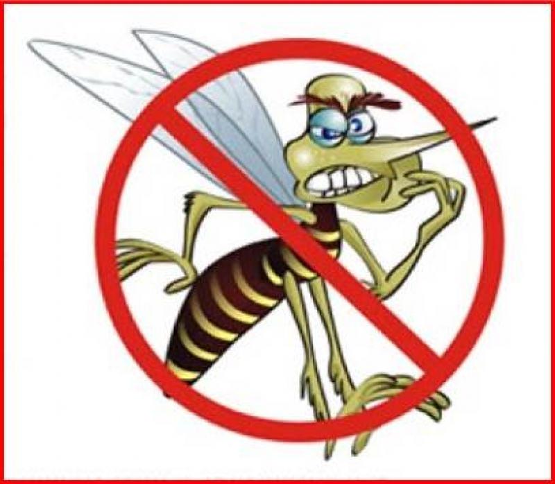 Alunos viram agentes mirins de combate à Dengue