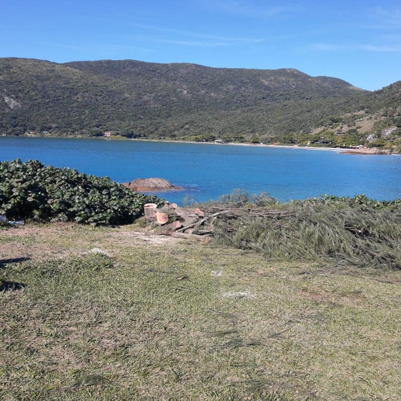 Meio Ambiente recupera paisagem na Ponta das Campanhas