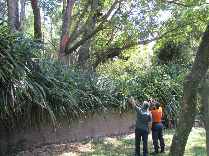 FLORAM faz fiscalização preventiva na Lagoa 