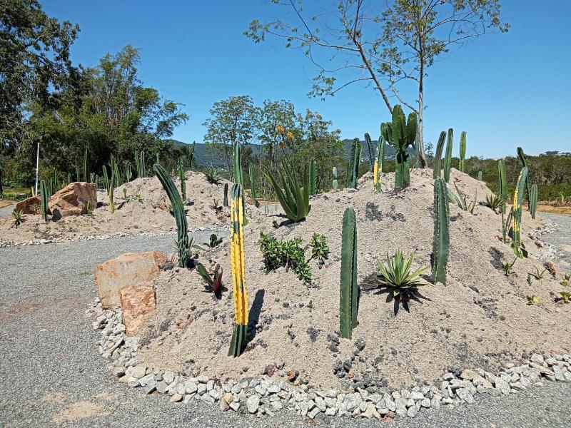 SMMA inaugura área temática no Jardim Botânico