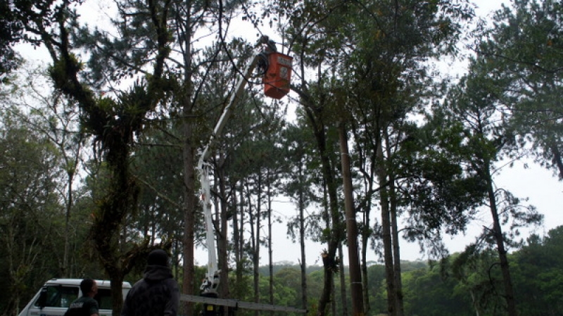 Arborização  pública  é tema de palestra da Defesa Civil