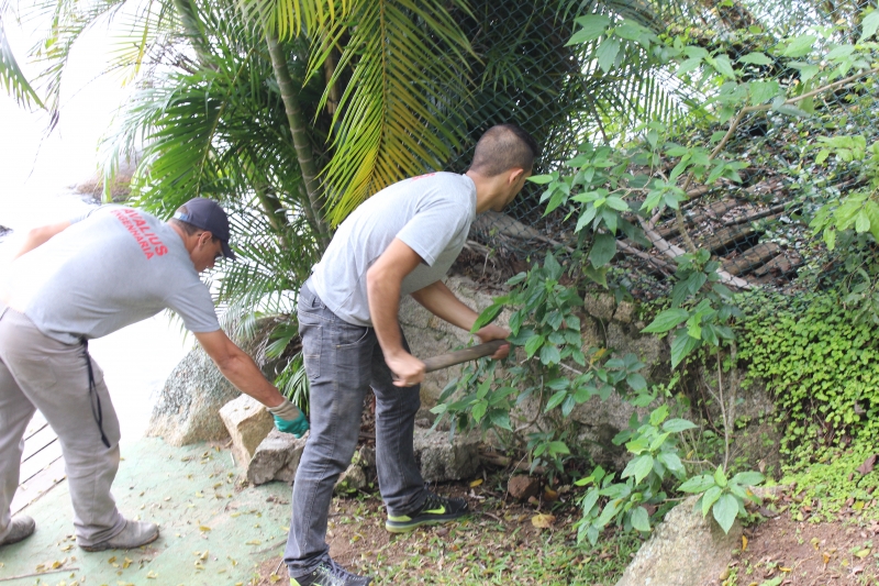 Muro irregular é retirado na Costa da Lagoa