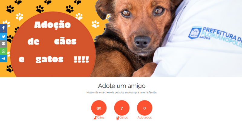 Prefeitura de Florianópolis cria plataforma digital para a adoção de animais