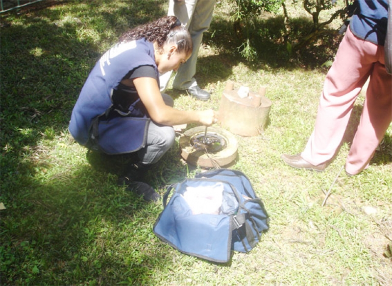 Florianópolis segue livre da Dengue 
