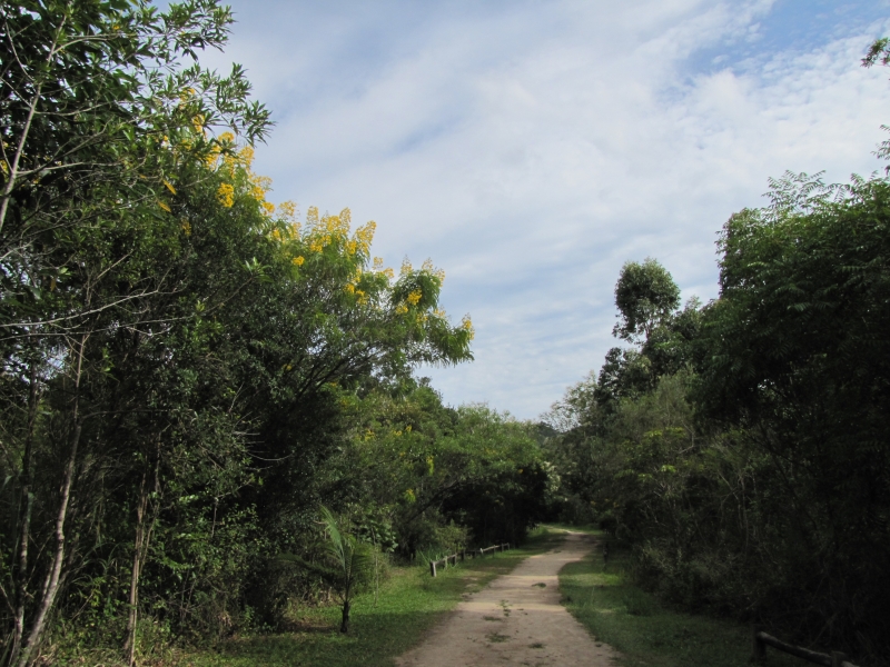 Inicia na próxima segunda-feira (05) o Curso de Capacitação Ambiental da FLORAM