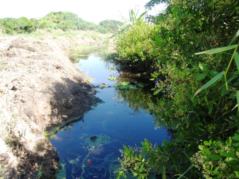 Floram fiscaliza limpeza de córregos no Campeche
