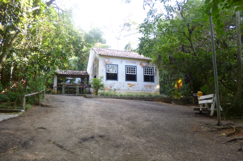 Abertas inscrições para visitar bosque no Estreito