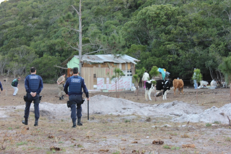 Criação irregular de animais em área de APP no bairro dos Ingleses