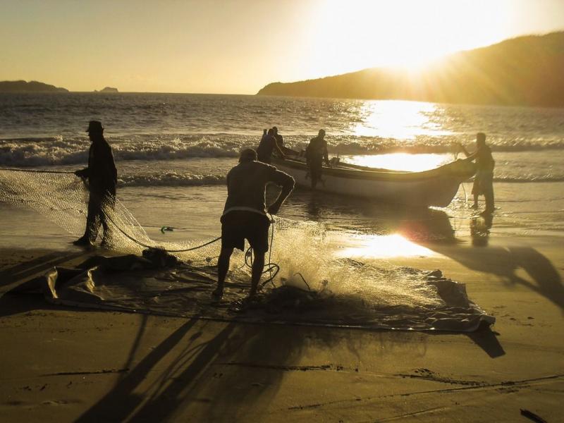 Florianópolis encerra a Safra da Tainha 2022 neste domingo (31)