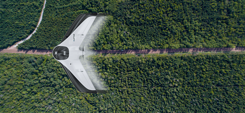 Imagens de satélite e drones são as novas ferramentas da PMF para combater invasões irregulares em Florianópolis