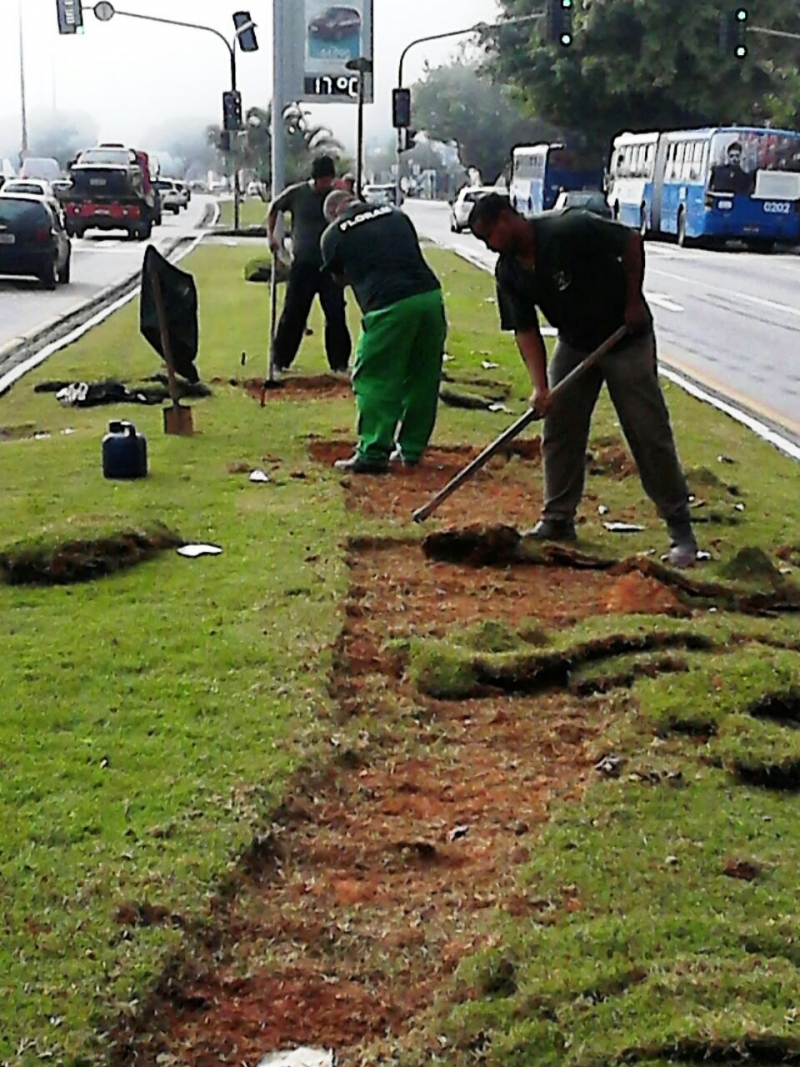 Beira-mar Norte recebe novos canteiros