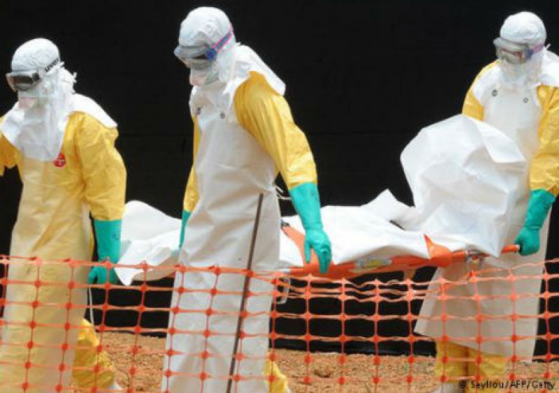 Divulgado novo boletim sobre situação do Ebola no mundo