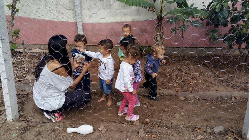 Creche Municipal de Florianópolis tem galinheiro educativo