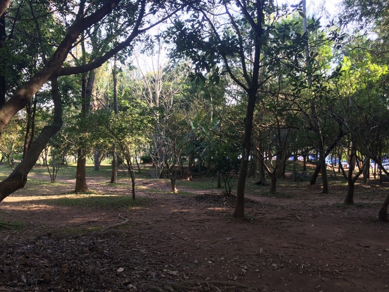 Saúde Ambiental tem curso na Floram