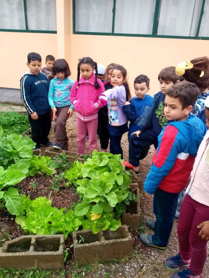 18 mil estudantes participam de hortas escolares na rede municipal 