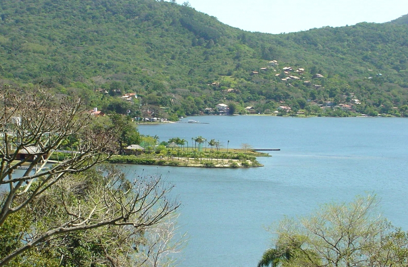 Animais da Costa da Lagoa terão atendimento coletivo
