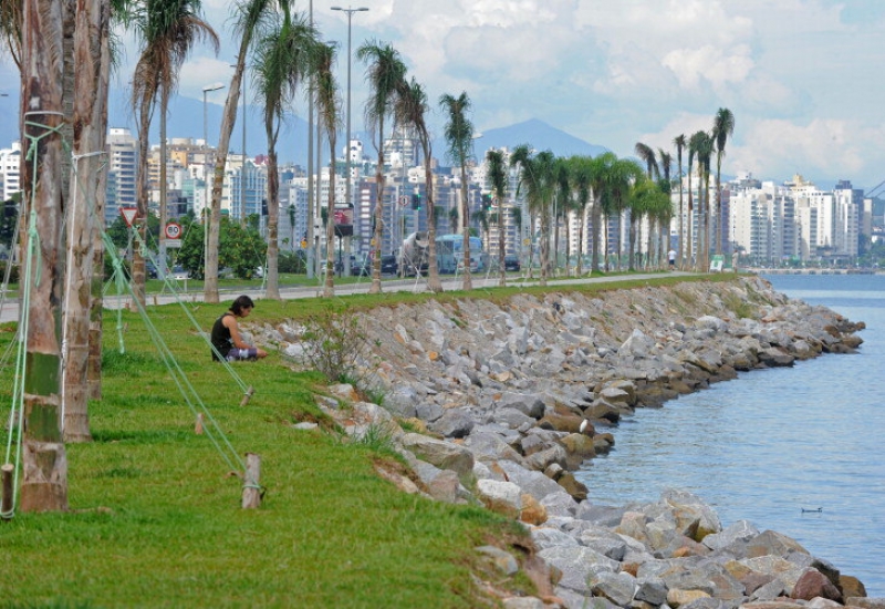 ARBORIZAÇÃO DA AVENIDA BEIRAMAR NORTE