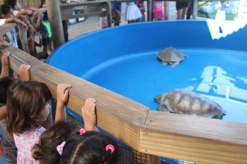 Núcleo de Educação Infantil da Barra da Lagoa visita Projeto Tamar durante Educar no Verão
