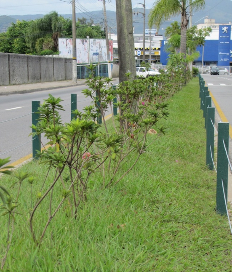 Floram realiza plantio de 300 mudas de azaléia na Ivo Silveira