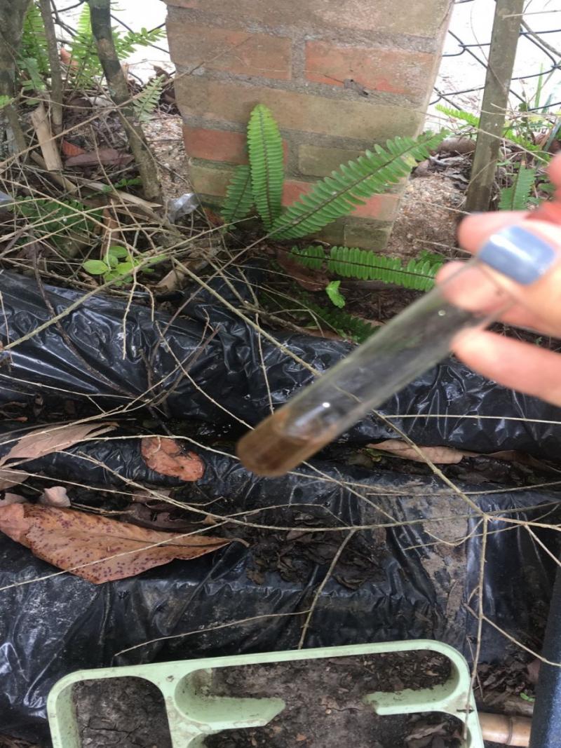 PMF segue ações de combate à dengue na Capital ao longo desta semana