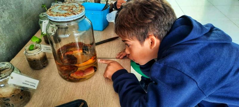 Escola do Mar de Florianópolis realiza Semana de Conservação dos Manguezais